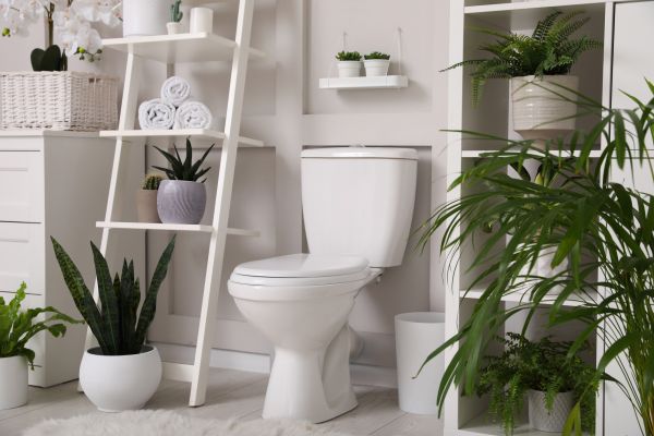 Cost of Toilet Repair in Charleston