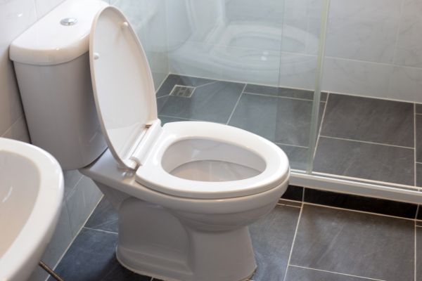 Cost of Toilet Replacement in Charleston