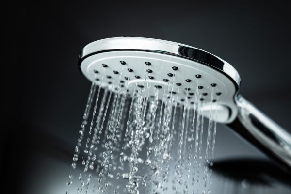 Cost of Shower Head Replacement in Charleston