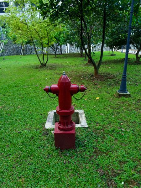Cost of Ground Hydrant Installation in Charleston