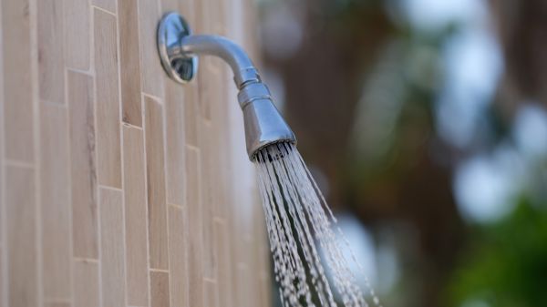 Cost of Showerhead Repair in Charleston