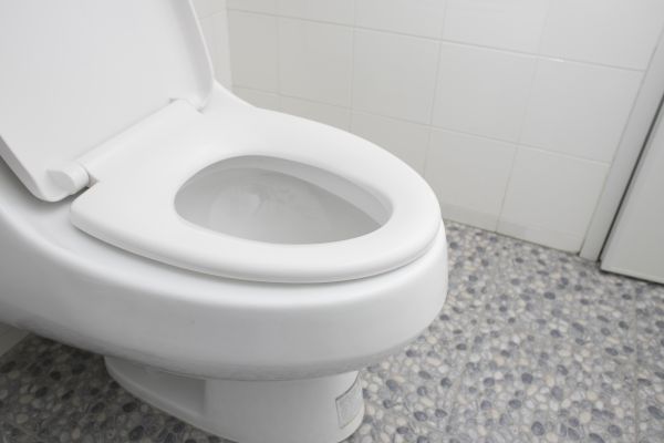 Cost of New Toilet Installation in Charleston