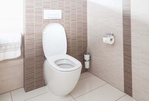 Cost of Toilet Plumbing Installation in Charleston